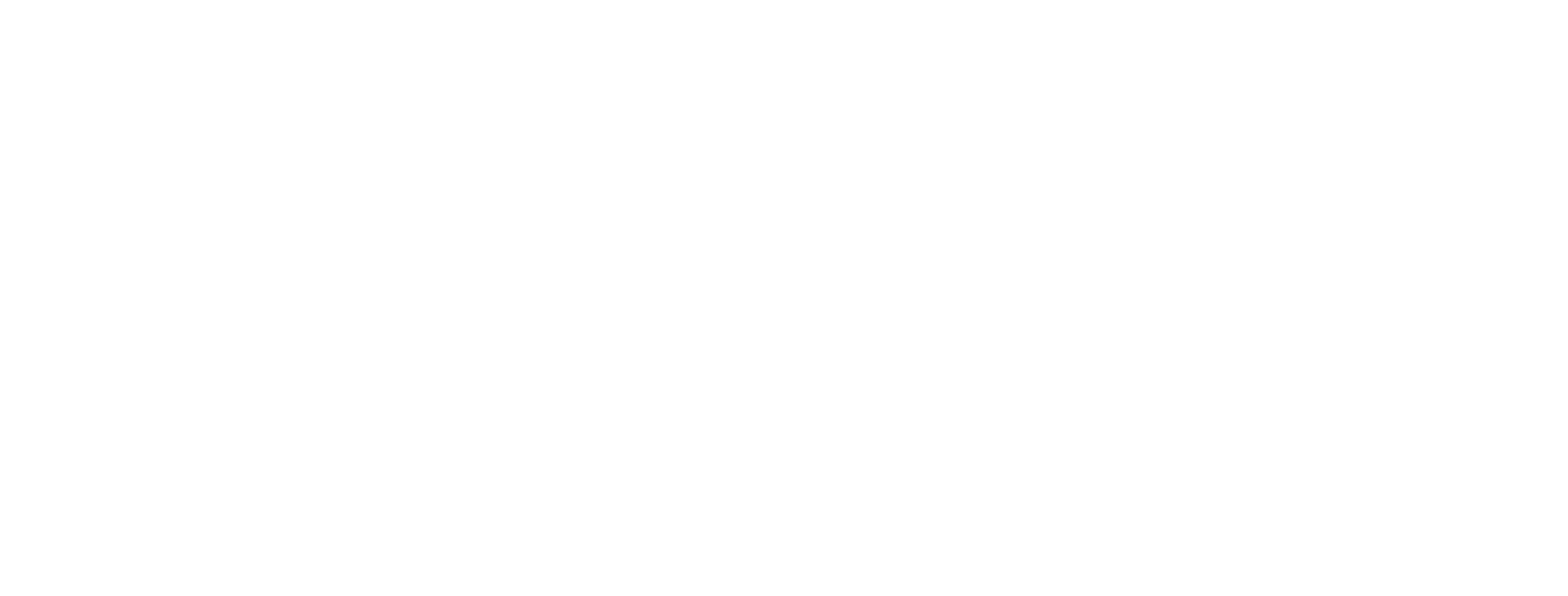 Logo 41 Watch